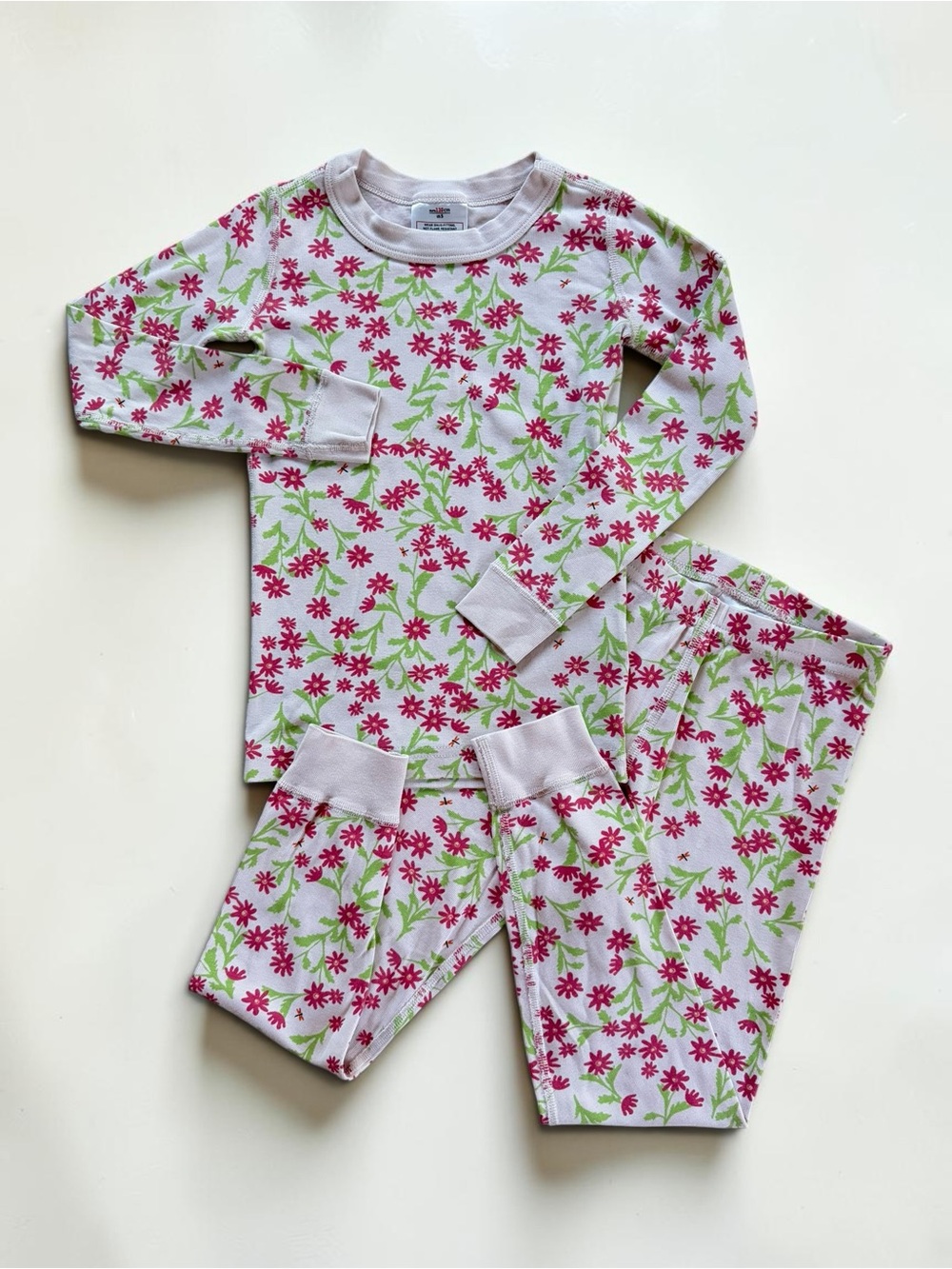 HANNA ANDERSSON VGUC Cheerful Floral Organic Cotton Pajama Set